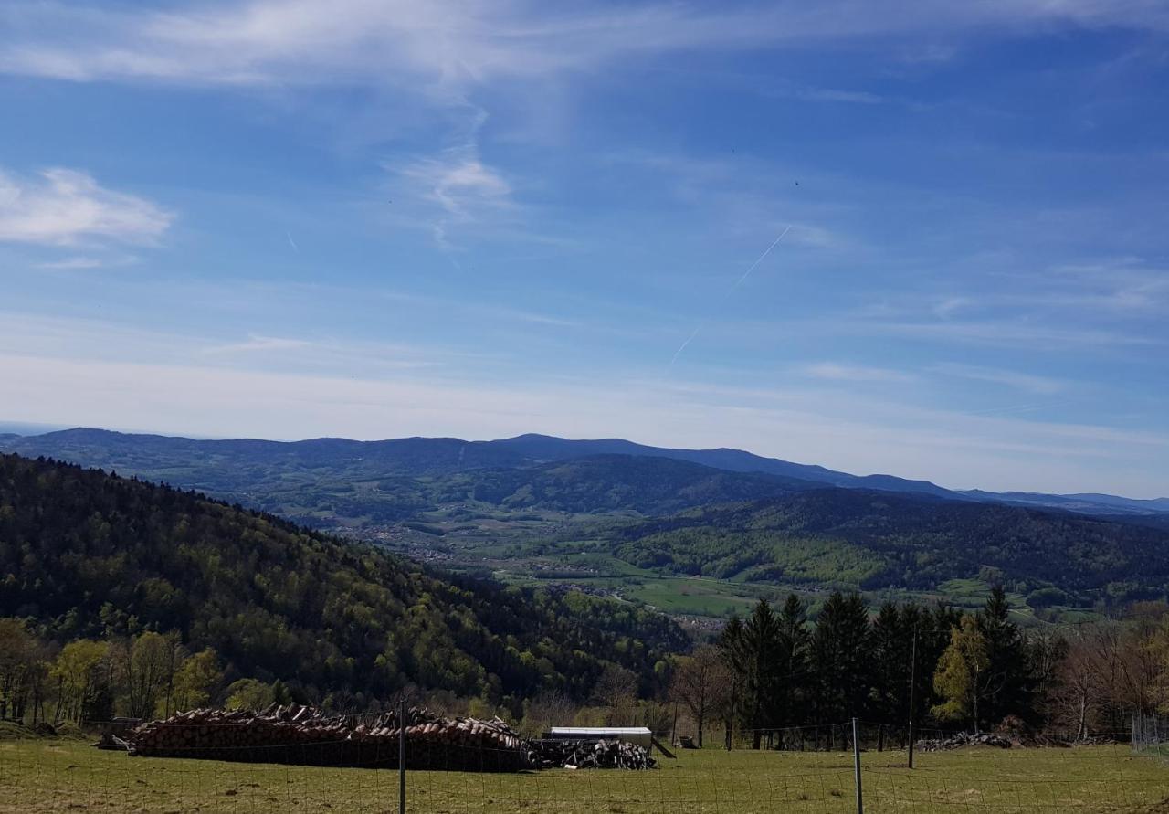 Ferienwohnung 32 Im Ferienland Sonnenwald - Bayerischer Wald Schöfweg Εξωτερικό φωτογραφία