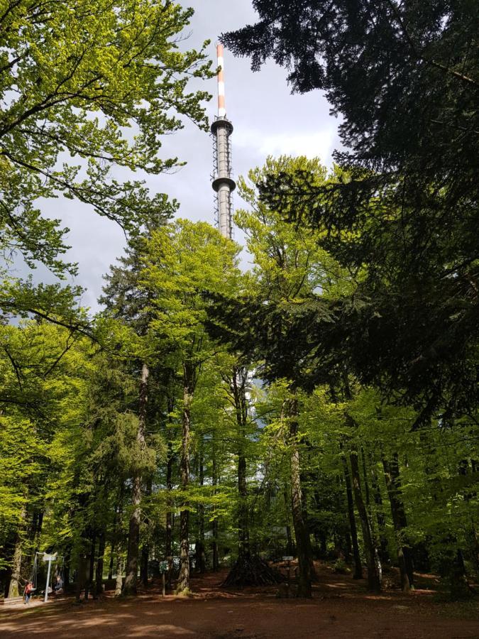 Ferienwohnung 32 Im Ferienland Sonnenwald - Bayerischer Wald Schöfweg Εξωτερικό φωτογραφία